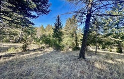 Martinez Gulch, Clancy, MT 59634
