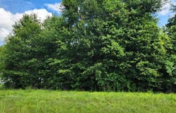 E Highway 190, Ragley, LA 70657