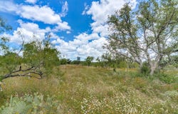 Hickory Grove Rd., Mason, TX 76856