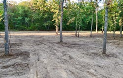 Bluebonnet Trail, Mount Vernon, TX 75457