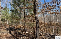 Abram Penn Hwy, Patrick Springs, VA 24133