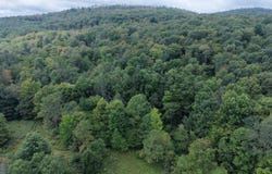 Charles Medlar Road, Long Eddy, NY 12760