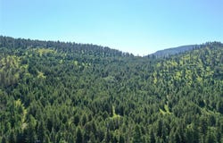 6 Tract, Garnet Range, Drummond, MT 59832