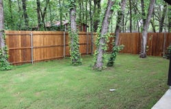 125 Chapperall Drive, Mabank, TX 75156