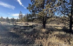 Canvasback Drive, Bonanza, OR 97623
