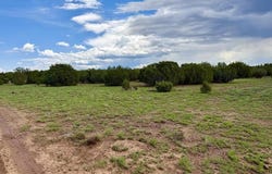 116 Co Rd 8127, Concho, AZ 85924