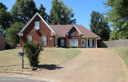 910 Scotch Pine Cove, Southaven, MS 38671