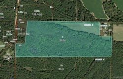 County Road 308, Selma, AL 36701