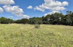 105 Steve Baker, Blanco, TX 78606