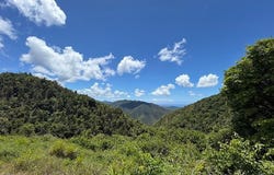 Cayey, Cayey, PR 00736