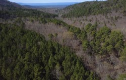 Unk FS Road 521, Mena, AR 71953