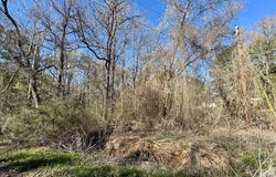 506 Pecan, Maud, TX 75567