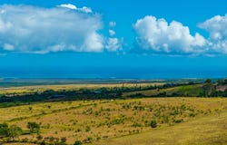 182 Hoomaikai Pl, Kula, HI 96790