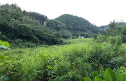 Hato Viejo, Arecibo, PR 00612