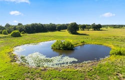 Private Road 607, Teague, TX 75860