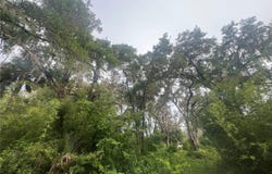 NE 32ND Street, SILVER SPRINGS, FL 34488