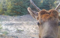 Ticonderoga Dr, Chama, NM 87520