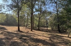 Sweed Road, Washington, TX 77880