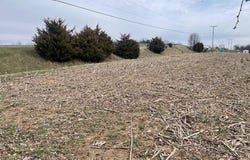 Hengstler Road, Wapakoneta, OH 45895