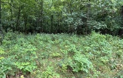 N Lang /Eureka Road, Berry, KY 41003