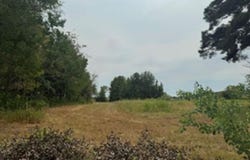1302 Lawrence St, Carthage, TX 75633