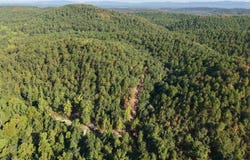 Forest Service Road, Mena, AR 71953