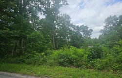 Woodruff Street, Mountain View, MO 65548