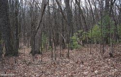 Roosie Road lot: #4, Dingmans Ferry, PA 18328