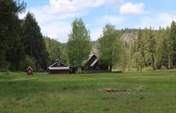 1000 Golden Feather Ranch Road, Graeagle, CA 96103