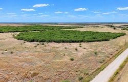 Davis Road, Archer City, TX 76351