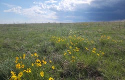 County Road 12, Rush, CO 80833