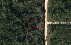 Ida Boulevard, Interlachen, FL 32148
