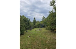 1899 Cedar Gap Central Lane, Seymour, MO 65746