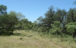 County Road 146, Melvin, TX 76825