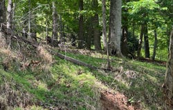 Lakecrest Dr, Hardy, VA 24101