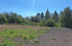 Shoreview Drive, Chiloquin, OR 97624