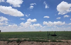 21404 County Road 2340, Lubbock, TX 79423