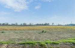 333 Quail Run Rd, Martindale, TX 78655