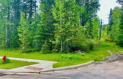 754 Ice House Road, Whitefish, MT 59937