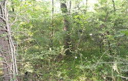 168 Reflections Drive, Marshall, AR 72650