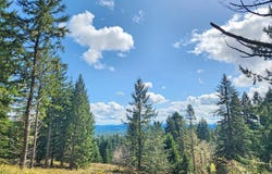 Bolton Hill, Veneta, OR 97487