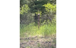 283 Diamond Hitch Dr, Kellogg, ID 83837