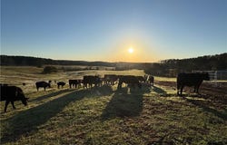1160 AL HIGHWAY 77, ROANOKE, AL 36274