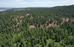 Sickfoot Road, Wallowa, OR 97885