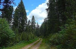 NKA HWY 95, Athol, ID 83801