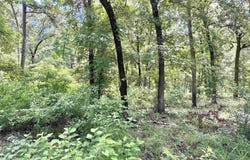 3156 Shadow Pine Dr., LaRue, TX 75770