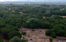 County Road 330, Burnet, TX 78611