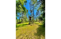 Hubert Morris Rd., Wilmer, AL 36587