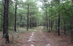 Young Circle, Kershaw, SC 29067