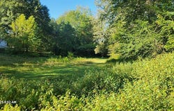 Blackberry Rd, CAMDEN, TN 38320
